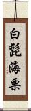 白髭海栗 Scroll