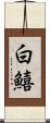 白鱚 Scroll