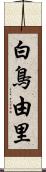 白鳥由里 Scroll