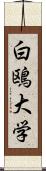 白鴎大学 Scroll