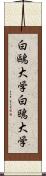 白鷗大学 Scroll