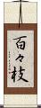 百々枝 Scroll