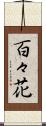 百々花 Scroll