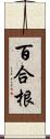 百合根 Scroll