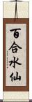 百合水仙 Scroll
