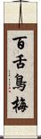 百舌鳥梅 Scroll