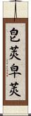 皀莢;皁莢 Scroll