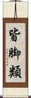 皆脚類 Scroll