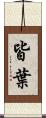 皆葉 Scroll