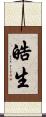 皓生 Scroll