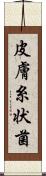 皮膚糸状菌 Scroll