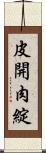 皮開肉綻 Scroll