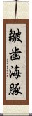 皺歯海豚 Scroll