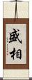 盛相 Scroll