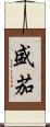 盛茄 Scroll