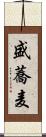 盛蕎麦 Scroll