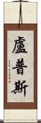 Lupus Scroll