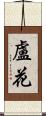 盧花 Scroll