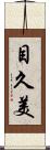 目久美 Scroll