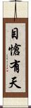 目愴有天 Scroll