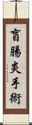 盲腸炎手術 Scroll