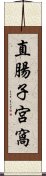 直腸子宮窩 Scroll