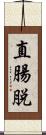 直腸脱 Scroll