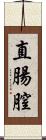 直腸膣 Scroll