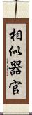 相似器官 Scroll