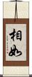相如 Scroll