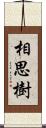 相思樹 Scroll