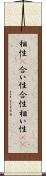 相性(P);合い性;合性;相い性(io) Scroll