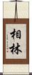 相林 Scroll