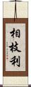 相枝利 Scroll