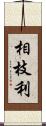 相枝利 Scroll