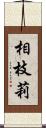 相枝莉 Scroll