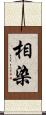 相染 Scroll