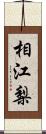 相江梨 Scroll