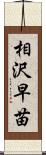 相沢早苗 Scroll