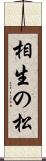 相生の松 Scroll