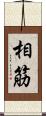 相筋 Scroll
