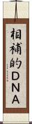 相補的ＤＮＡ Scroll