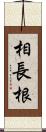 相長根 Scroll