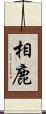 相鹿 Scroll