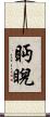 眄睨 Scroll