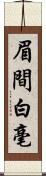 眉間白毫 Scroll