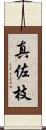 真佐枝 Scroll