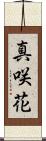 真咲花 Scroll