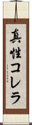 真性コレラ Scroll