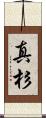 真杉 Scroll